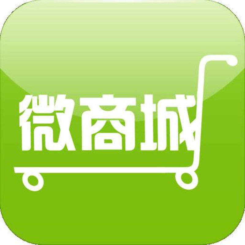 淘宝网在线购物:行业趋势与用户偏好分析